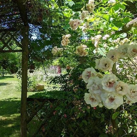 B&B L'aveneau