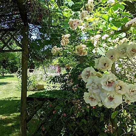 L'aveneau 3*