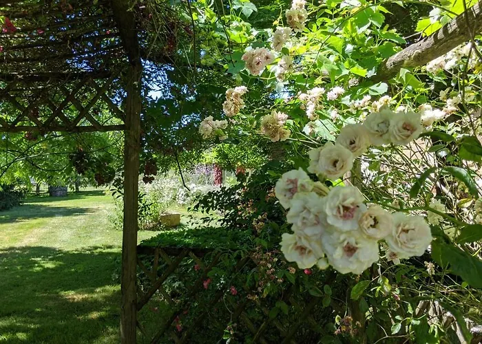 Bed and Breakfast L'aveneau